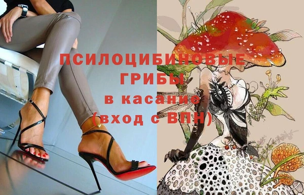 мескалин Нязепетровск
