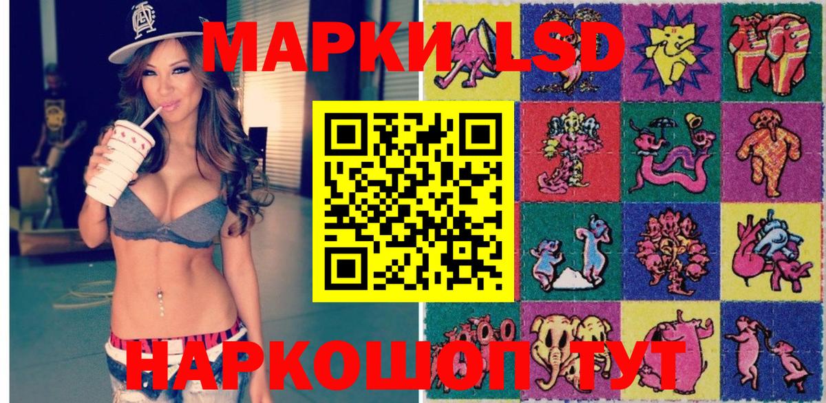 Богданович  Марки N-bome 1,5мг  Вход с VPN 