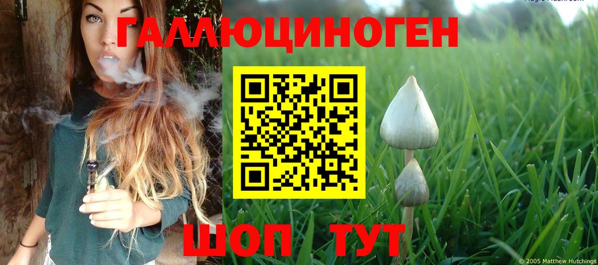 Псилоцибиновые грибы мухоморы Богданович